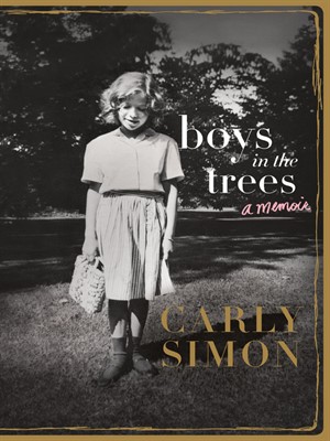 Cover of Boys in the Trees